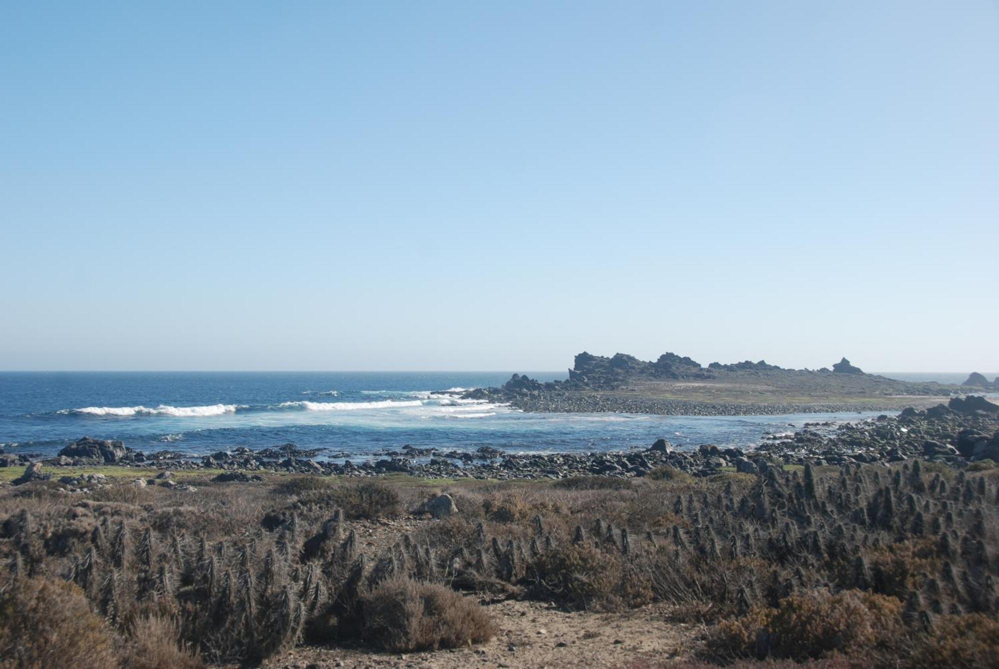 Cabanas Las Hualas Punta de Choros Buitenkant foto